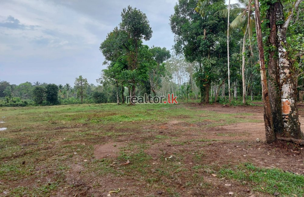 Land For Sale In Batagoda Horana