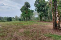 Land For Sale In Batagoda Horana