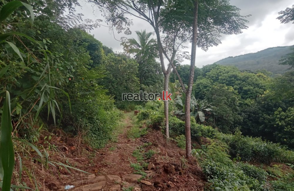 Mixed Estate In Parakaduwa Rd Eheliyagoda