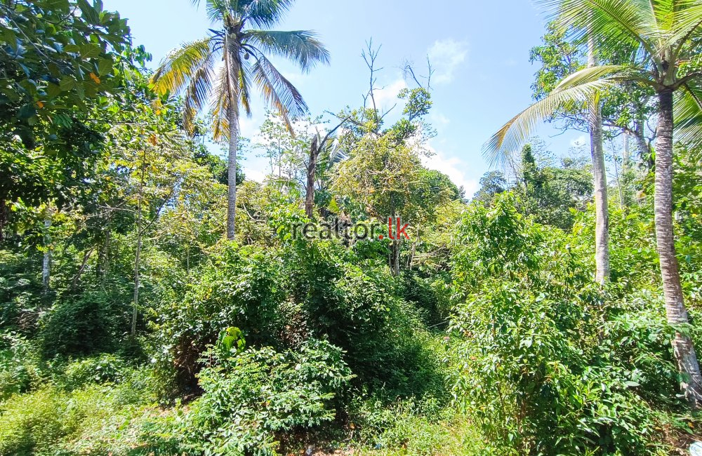 Facing Molligoda Rd Wadduwa Land For Rent