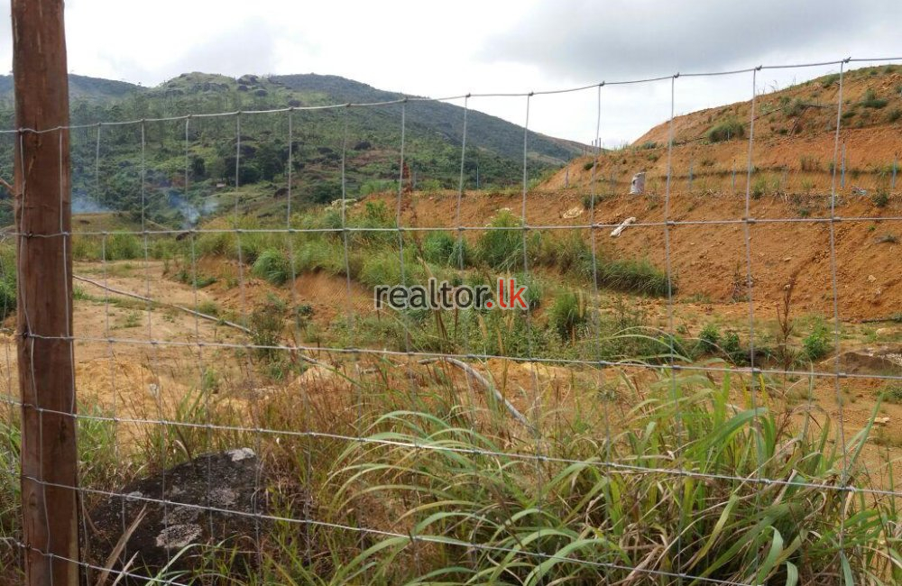 Land For Sale In Nawalapitiya