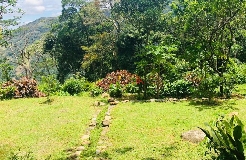 Matale Mixed Plant Estate For Sale