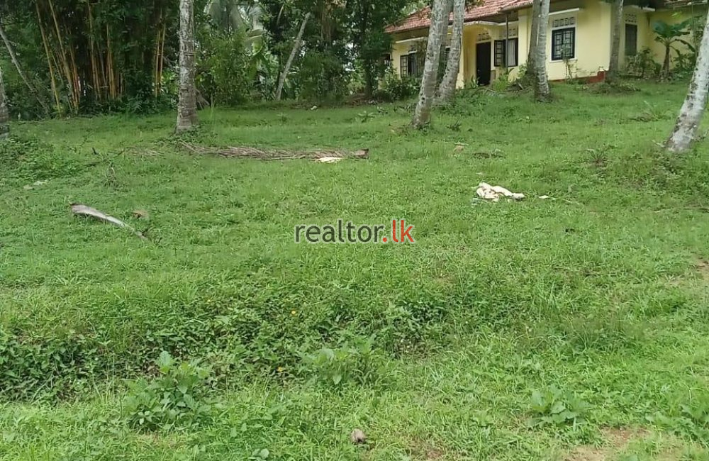 Facing Poruwadanda Rd Handapangoda Land For Sale