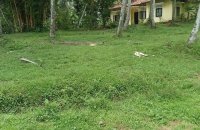 Facing Poruwadanda Rd Handapangoda Land For Sale