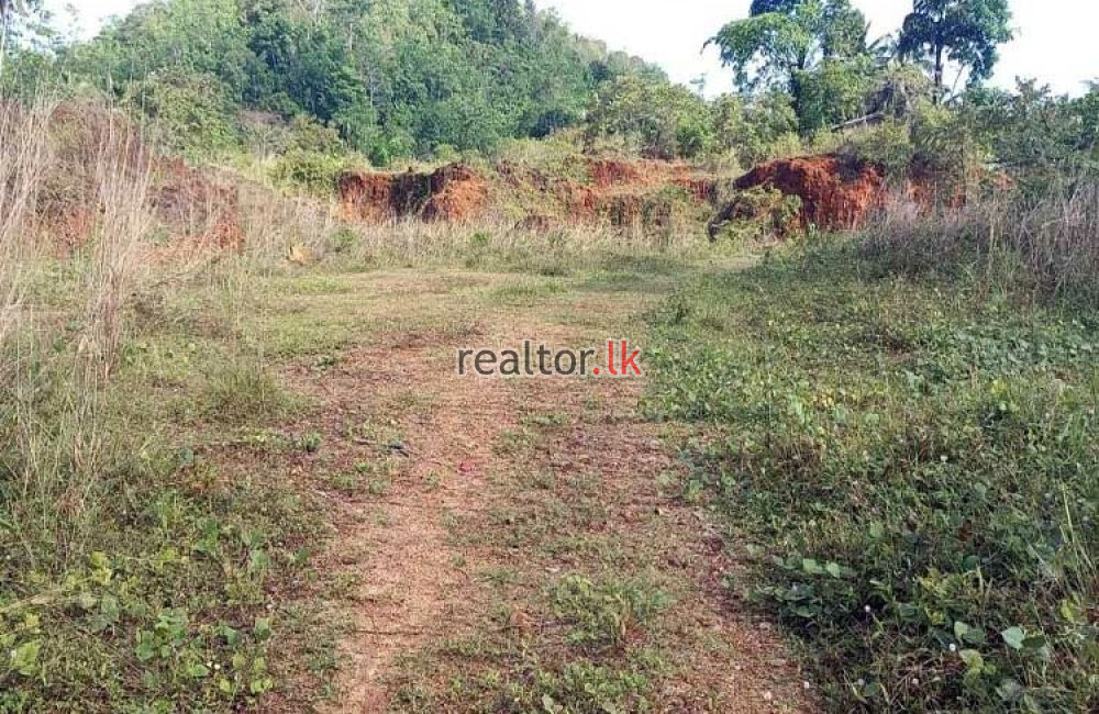 Land For Rent In Horana Road Agalawatta