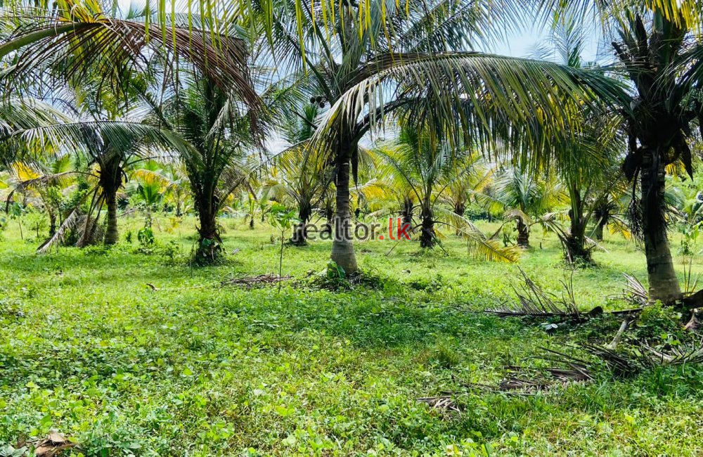 Land For Sale At Ranala