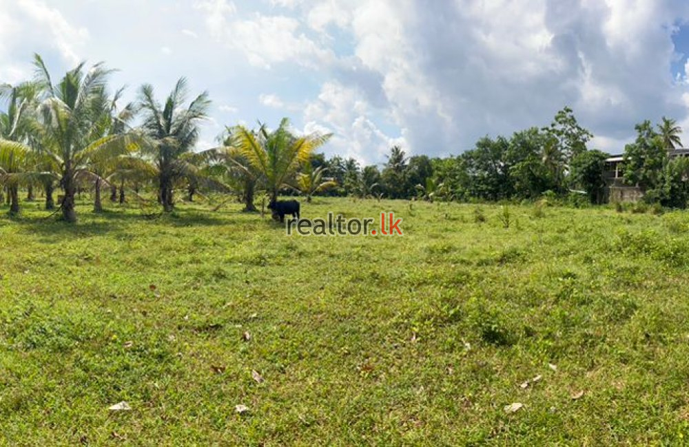 Land For Sale At Ranala