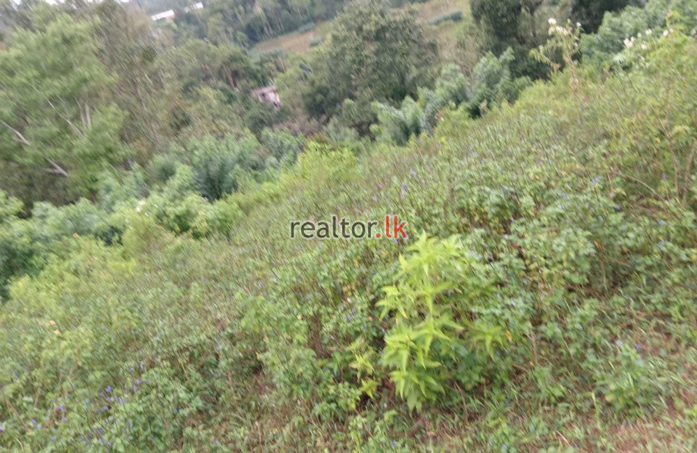 Land For Sale At Aththalapitiya Rd Bandarawela