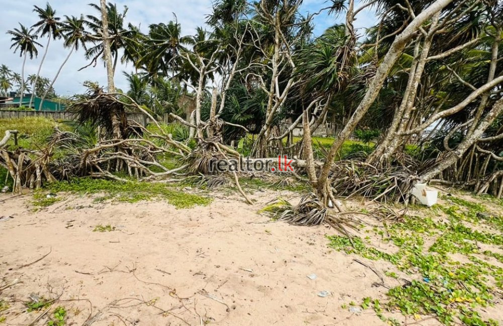 Beachfront Land For Sale At Athuruwella Bentota