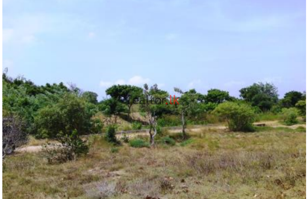 Lagoon Front Land At Pubudugama Rd