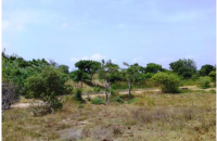 Lagoon Front Land At Pubudugama Rd