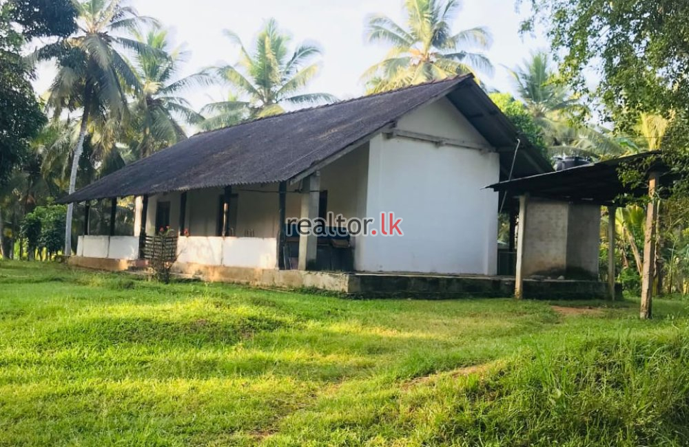 Coconut Estate For Sale In Wellawa Kurunegala