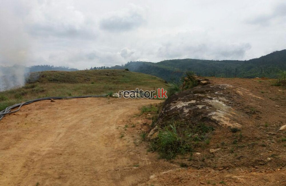 Land For Sale In Nawalapitiya