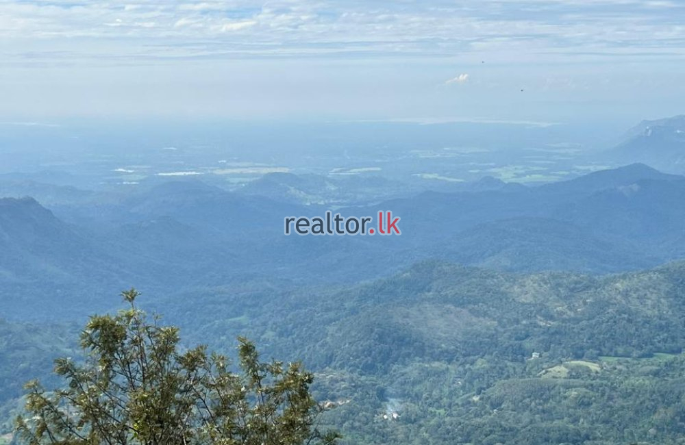 Mountain View Land For Sale At Beragala Haputale