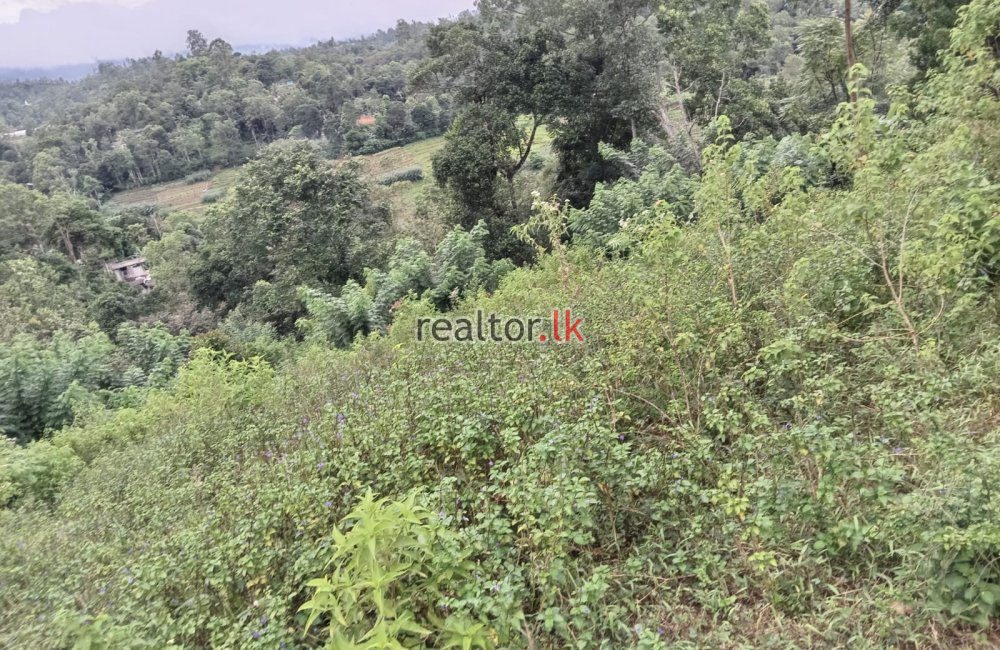 Land For Sale At Aththalapitiya Rd Bandarawela