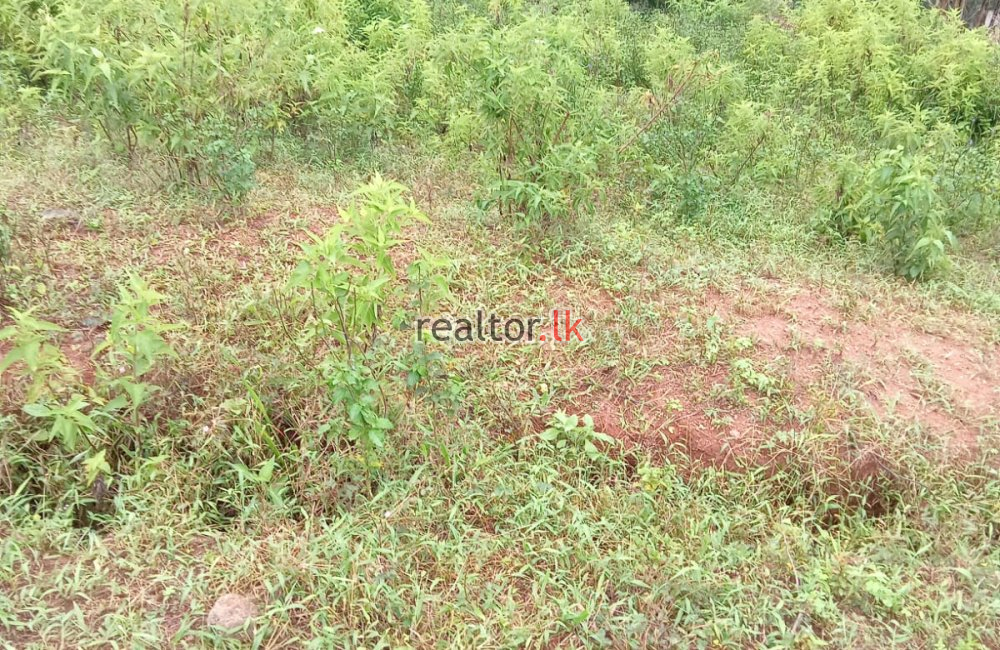 Land For Sale At Aththalapitiya Rd Bandarawela