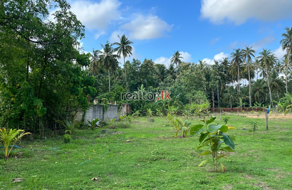 Land For Sale In Kochchikade Negombo