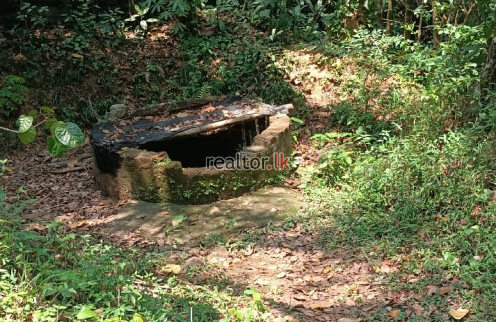 පොතුහැර අක්කර 2ක් ඉක්මනින්   විකිණීමට