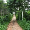Land At Off Colombo - Kandy Road