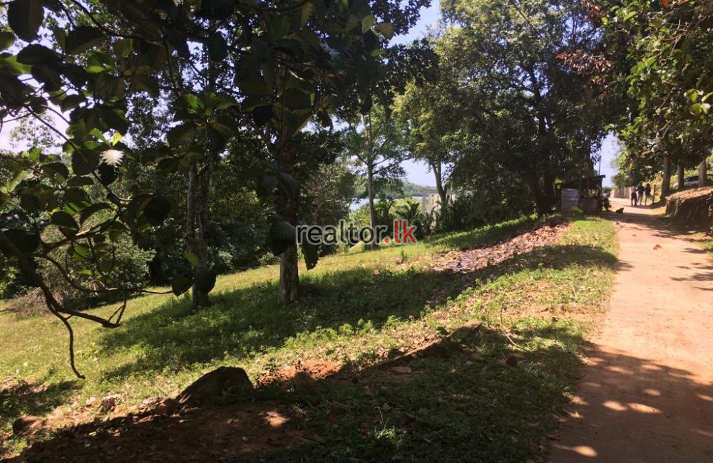 Bordering Koggala Land For Sale