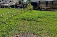 Alfred House Avenue Land For Sale
