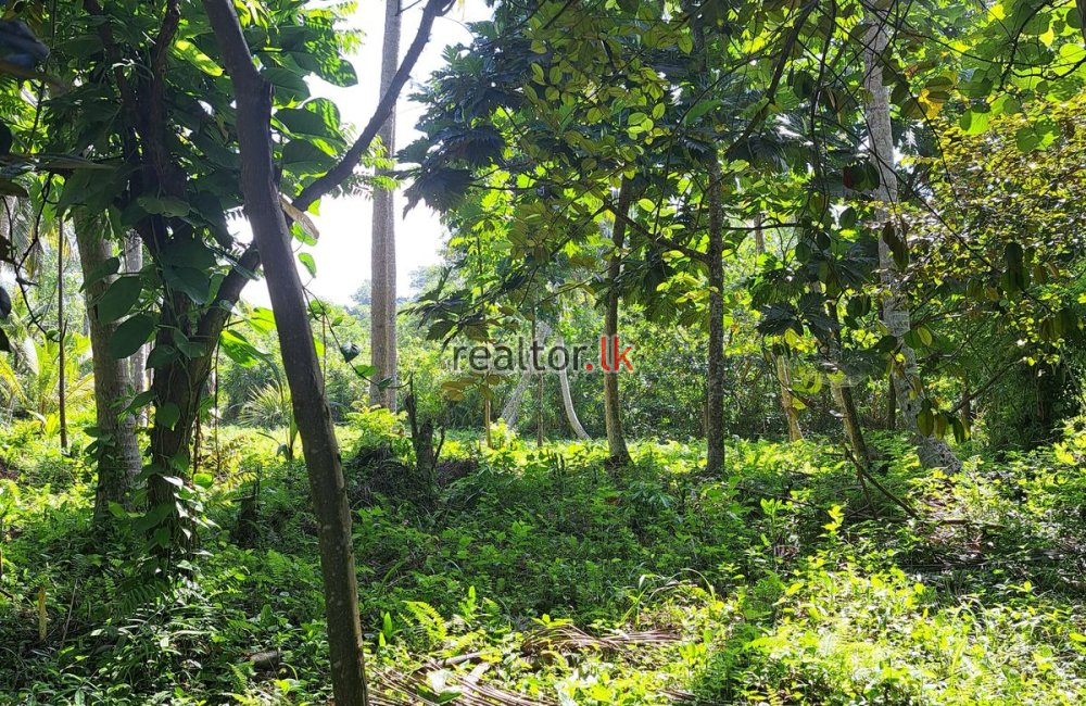 Lakefront Land For Sale At Habaraduwa Galle
