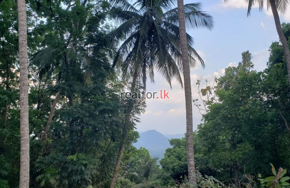 Land With A Nearly Finished Villa At Kandy