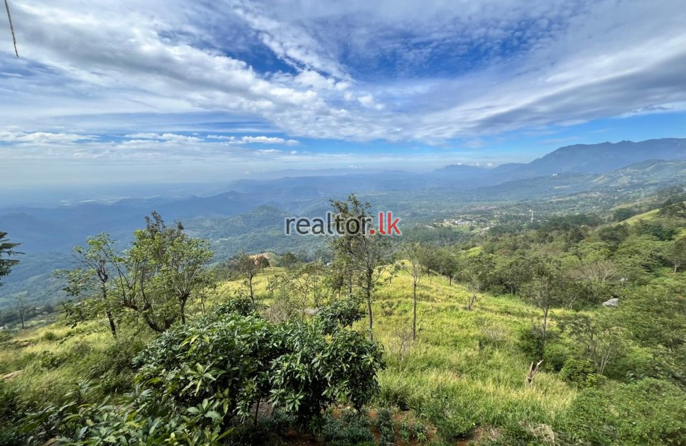 Mountain View Land For Sale At Beragala Haputale