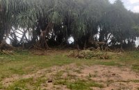 Beachfront Land For Sale At Wadduwa