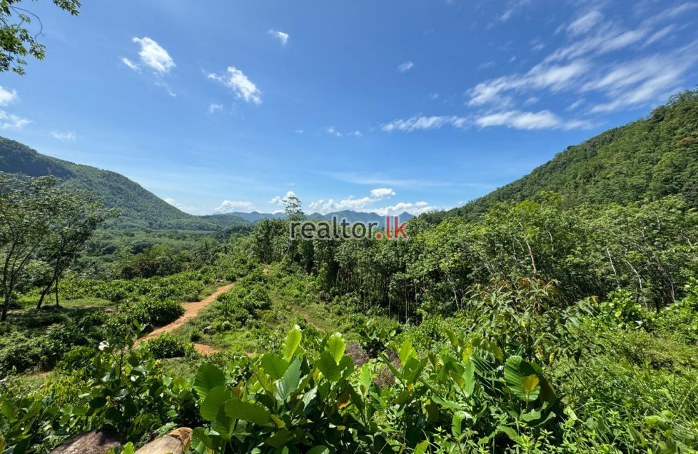 Scenic Land For Sale In Kiriella