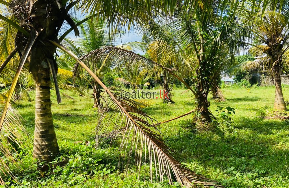 Land For Sale At Ranala