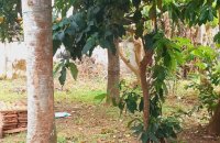 Land For Sale At De Soysa Avenue Mount Lavinia