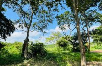 Riverfront Land For Sale In Wennappuwa