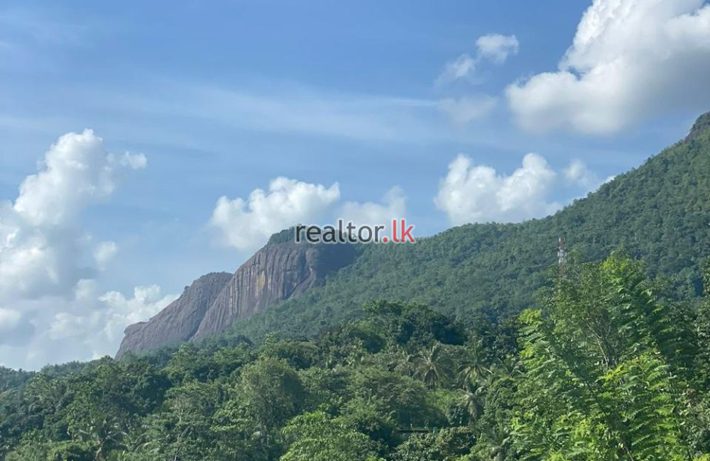 Land For Sale At Maniyangama Avissawella