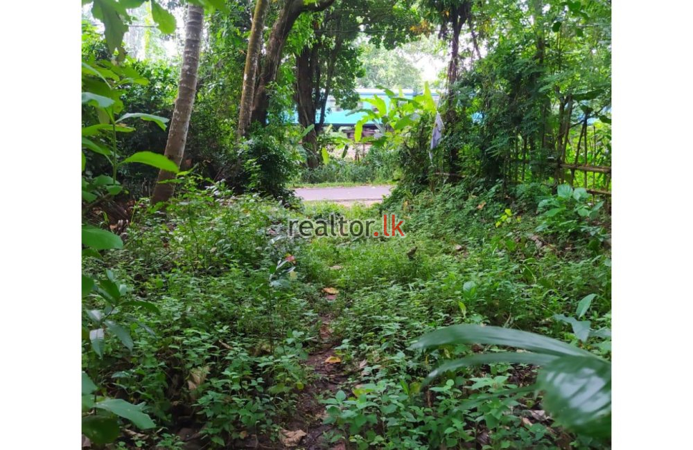 153 Perches Land For Sale In Alawwa