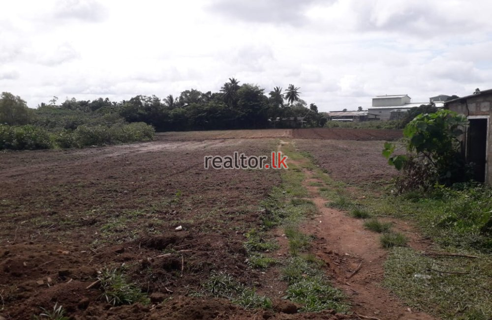 Milleniya Rd Land For Sale