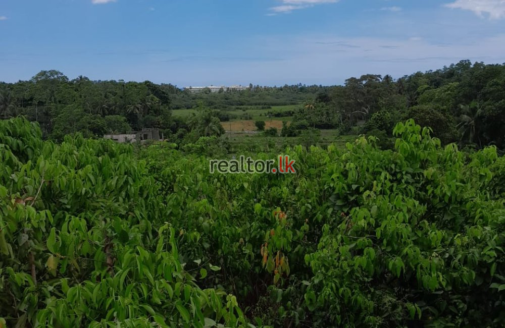 225P Commercial Land For Sale At Hikkaduwa