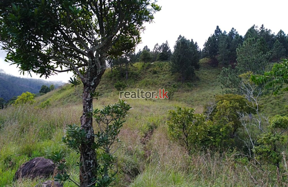 Ella Land For Sale