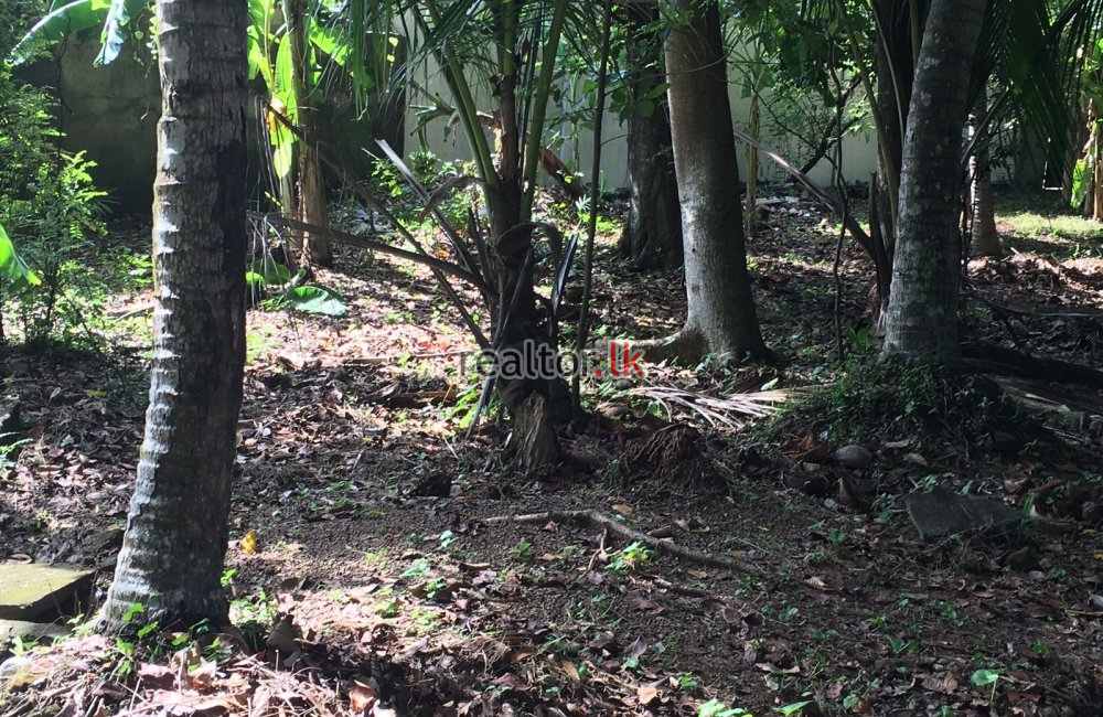 Land For Sale At Anderson Rd Kalubowila