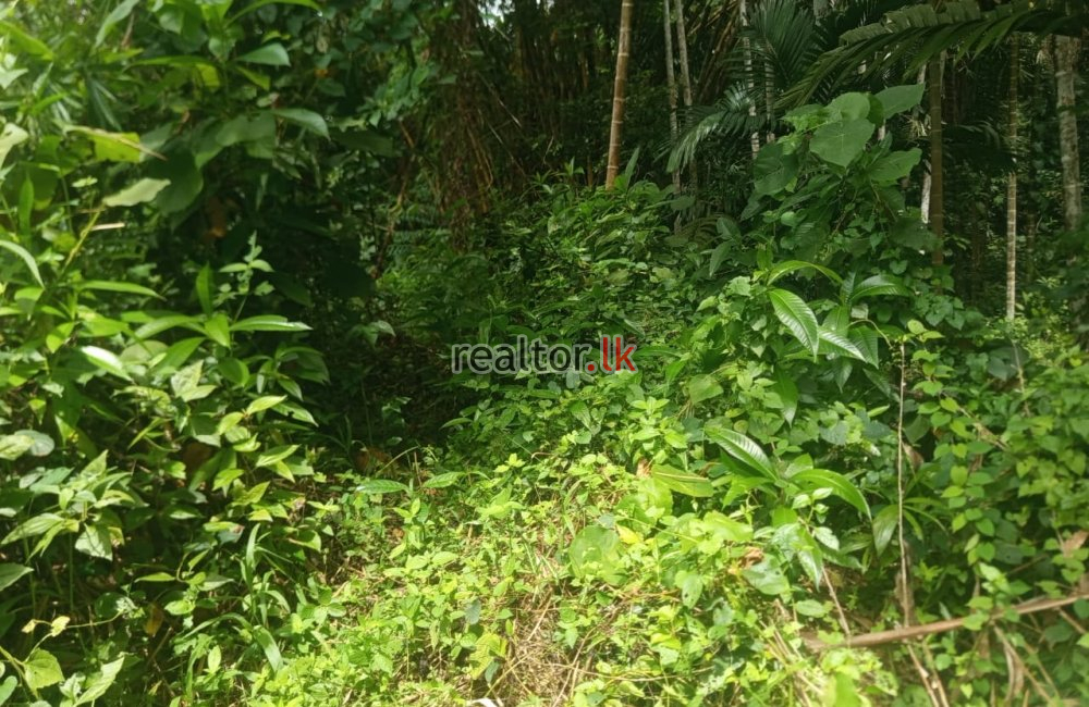 Land For Sale In Hawpe Galle