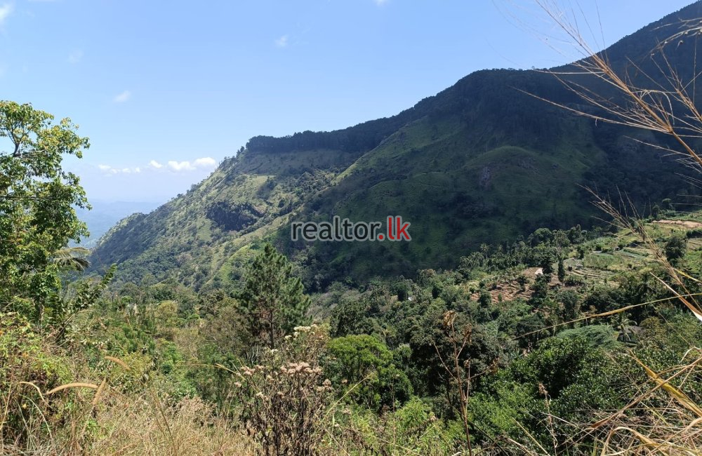 Mountain View Land For Sale In Bambaragama