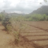 Meepilimana Land For Sale