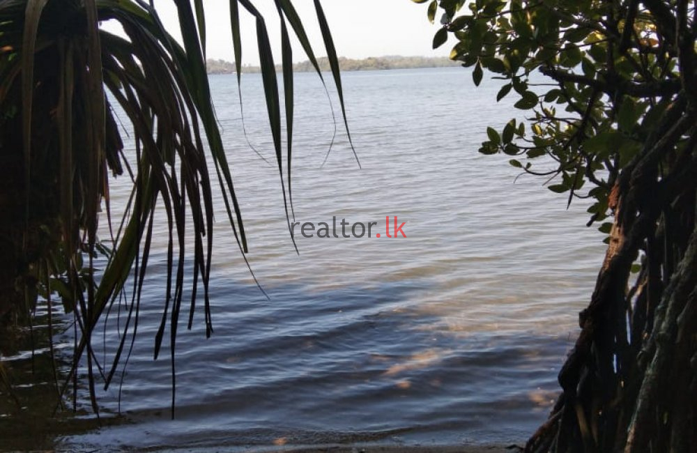 Bodering Koggala Lake Land For Sale