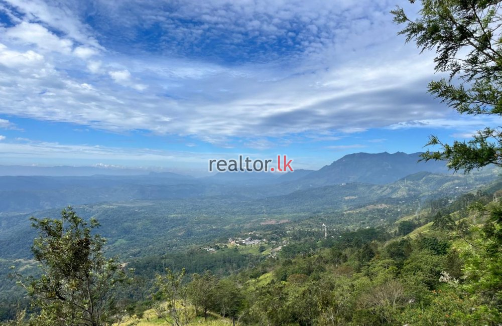 Mountain View Land For Sale At Beragala Haputale