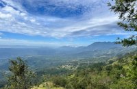 Mountain View Land For Sale At Beragala Haputale