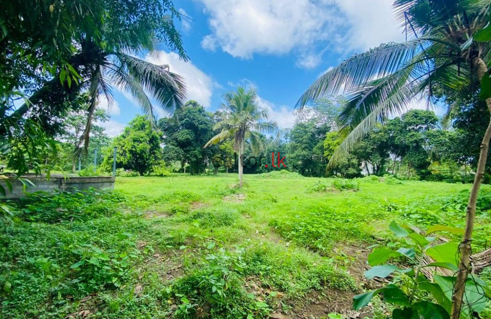 Maovita Road Land For Sale