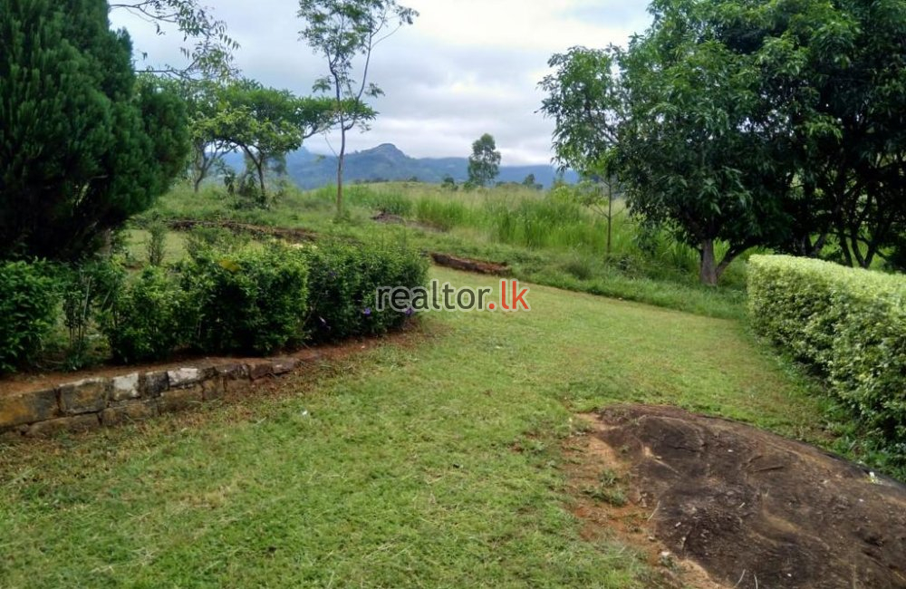 Tea Estate For Sale At Panvila Kandy