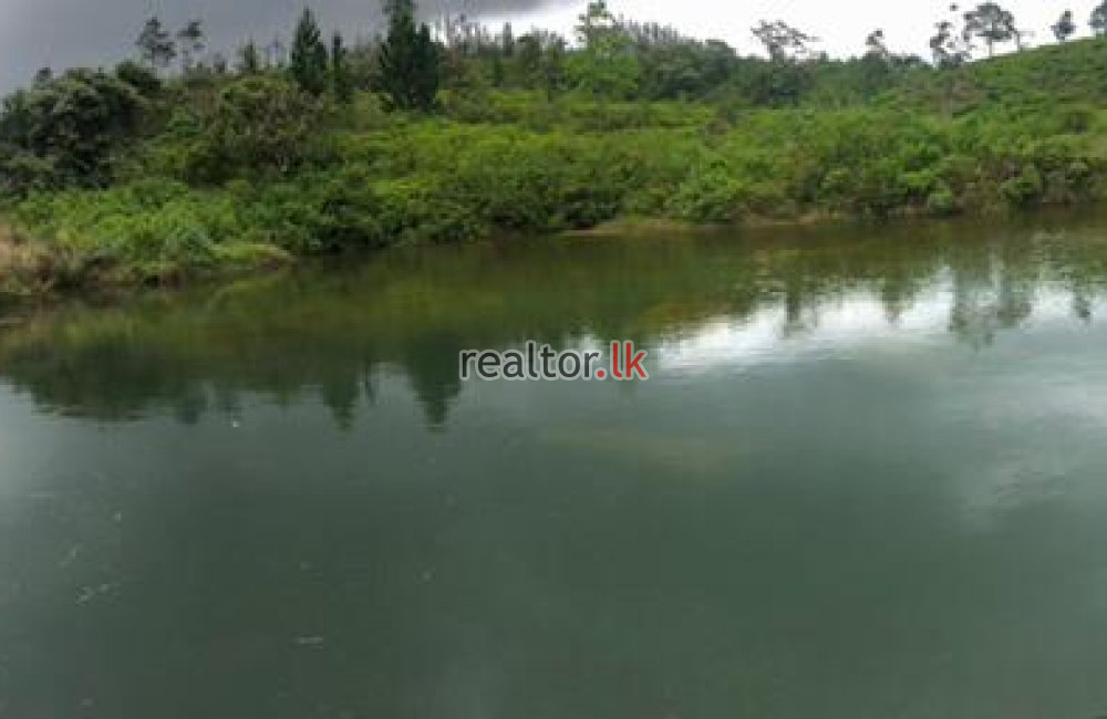 40 Acres Of Tea Estate For Sale In Wattegama