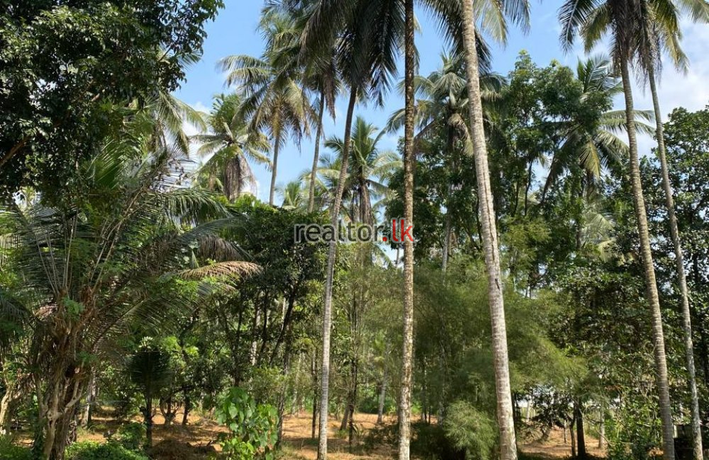 Industrial Land For Sale At Madulawa Rd Padukka