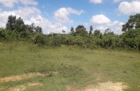 Malagala Land For Sale